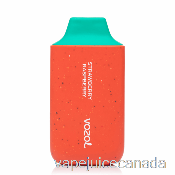 Vape Canada VOZOL Star 6000 Disposable Strawberry Raspberry